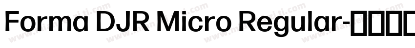 Forma DJR Micro Regular字体转换